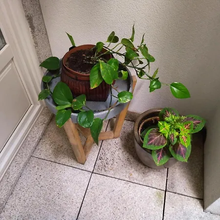 Santa Catarina Patio - With Washer Machine Apartamento