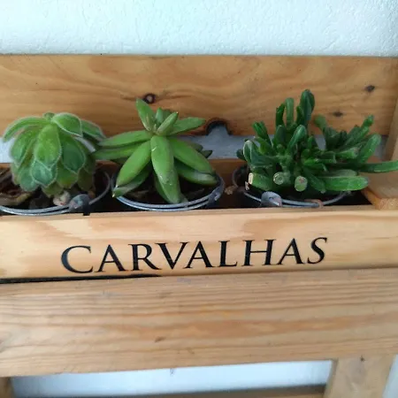 Apartament Santa Catarina Patio - With Washer Machine