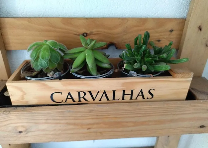 Apartament Santa Catarina Patio - With Washer Machine