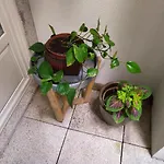 Santa Catarina Patio - With Washer Machine Apartamento
