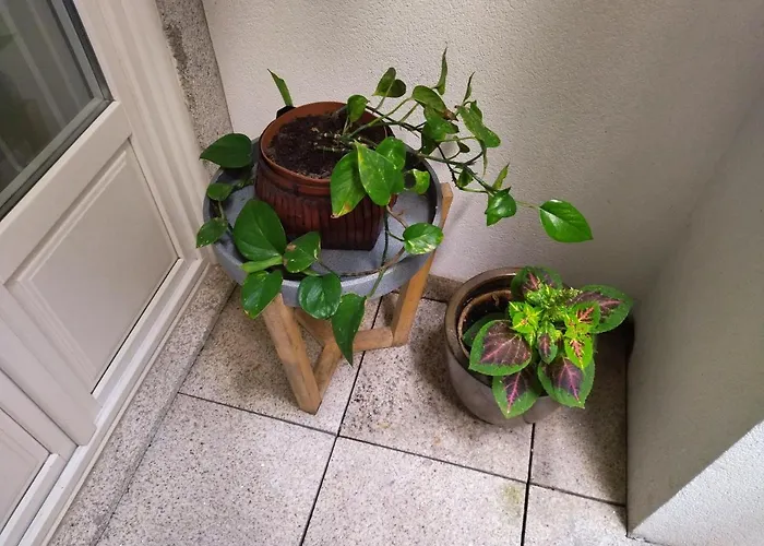 Santa Catarina Patio - With Washer Machine Apartmán